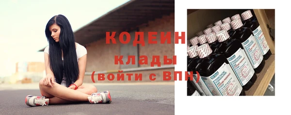 шишки Аркадак