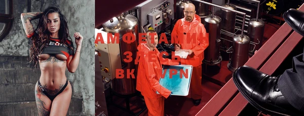 шишки Аркадак