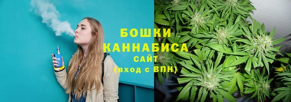 шишки Аркадак