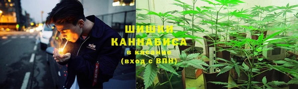шишки Аркадак