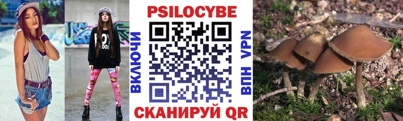 Псилоцибиновые грибы прущие грибы  Сольцы 